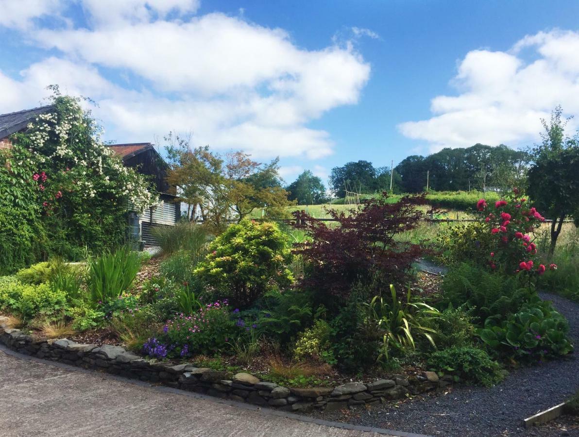 The Royston Hotel Llanbrynmair Bagian luar foto