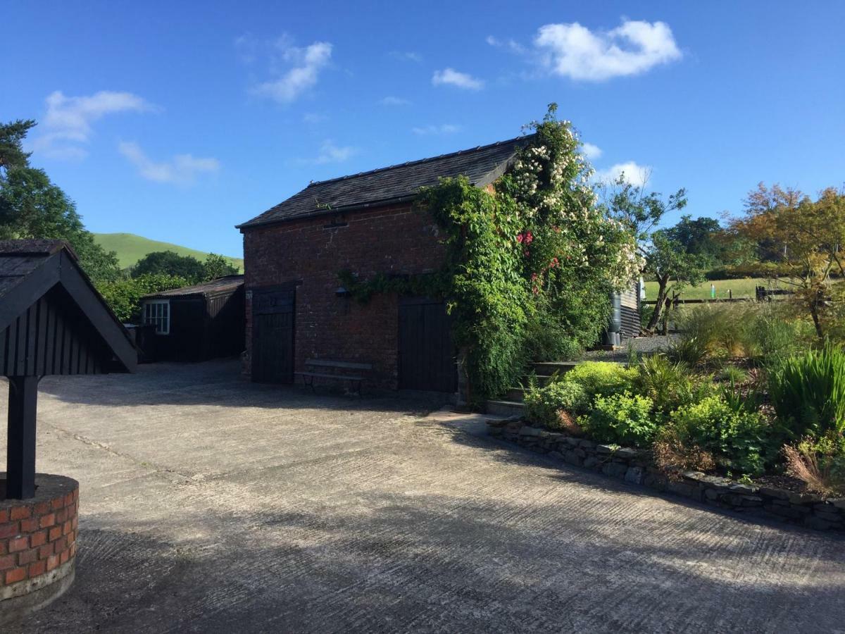 The Royston Hotel Llanbrynmair Bagian luar foto